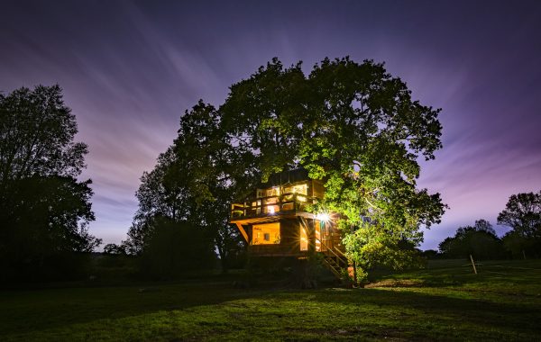 The Old Oak