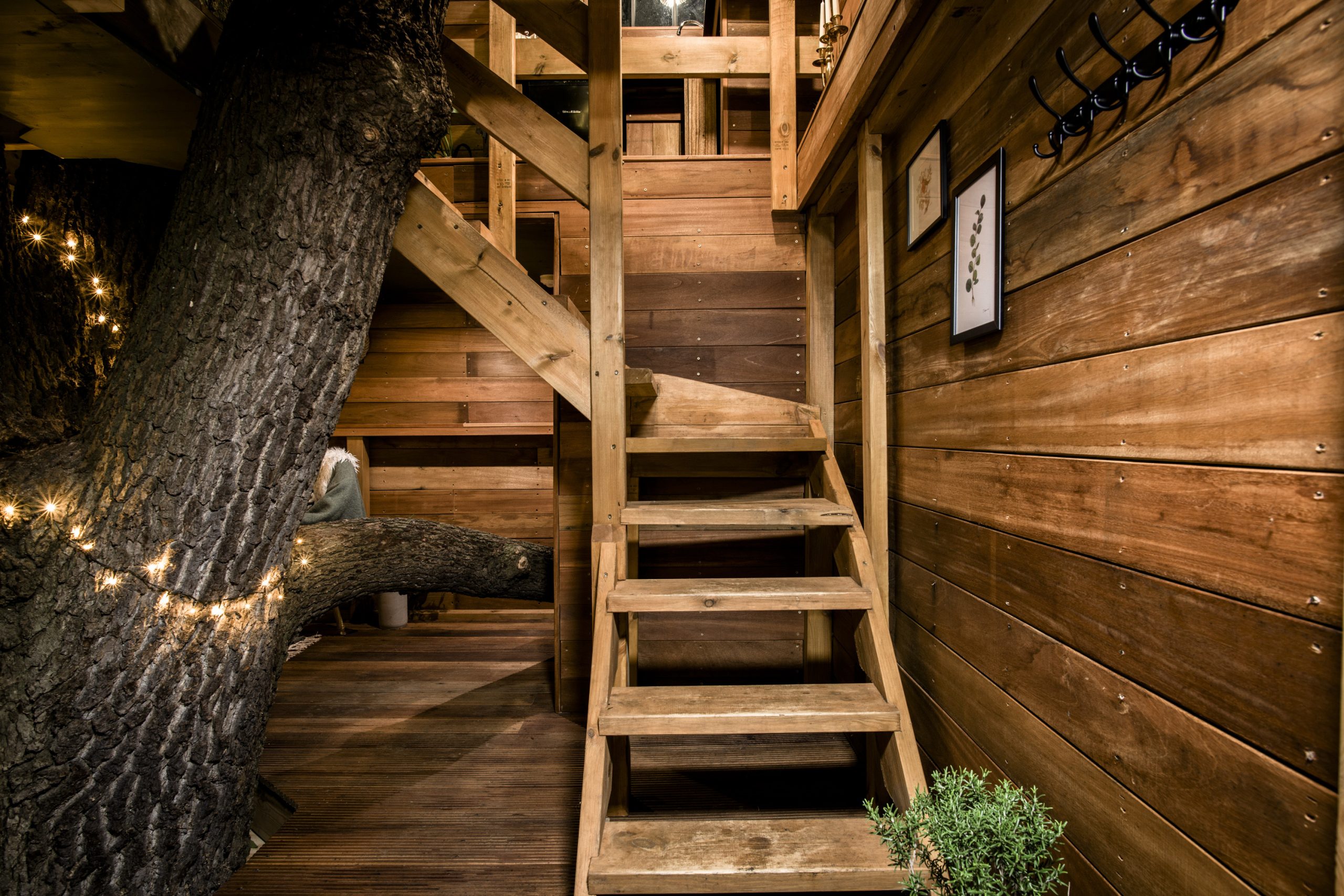 The stairs in The Old Oak at Colemans leading up to the 1st floor