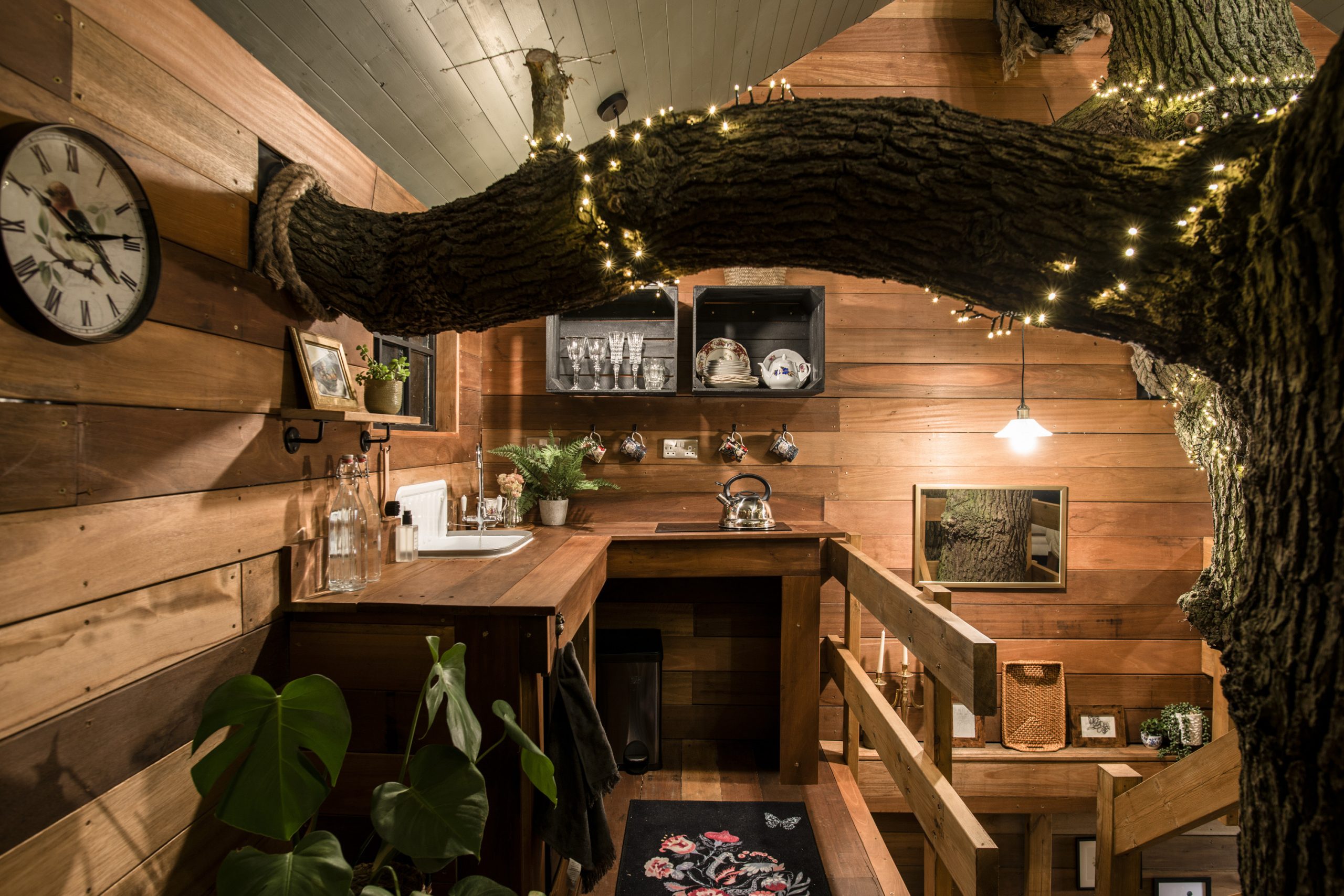 The kitchen at The Old Oak at Colemans Farm with large bough overhead