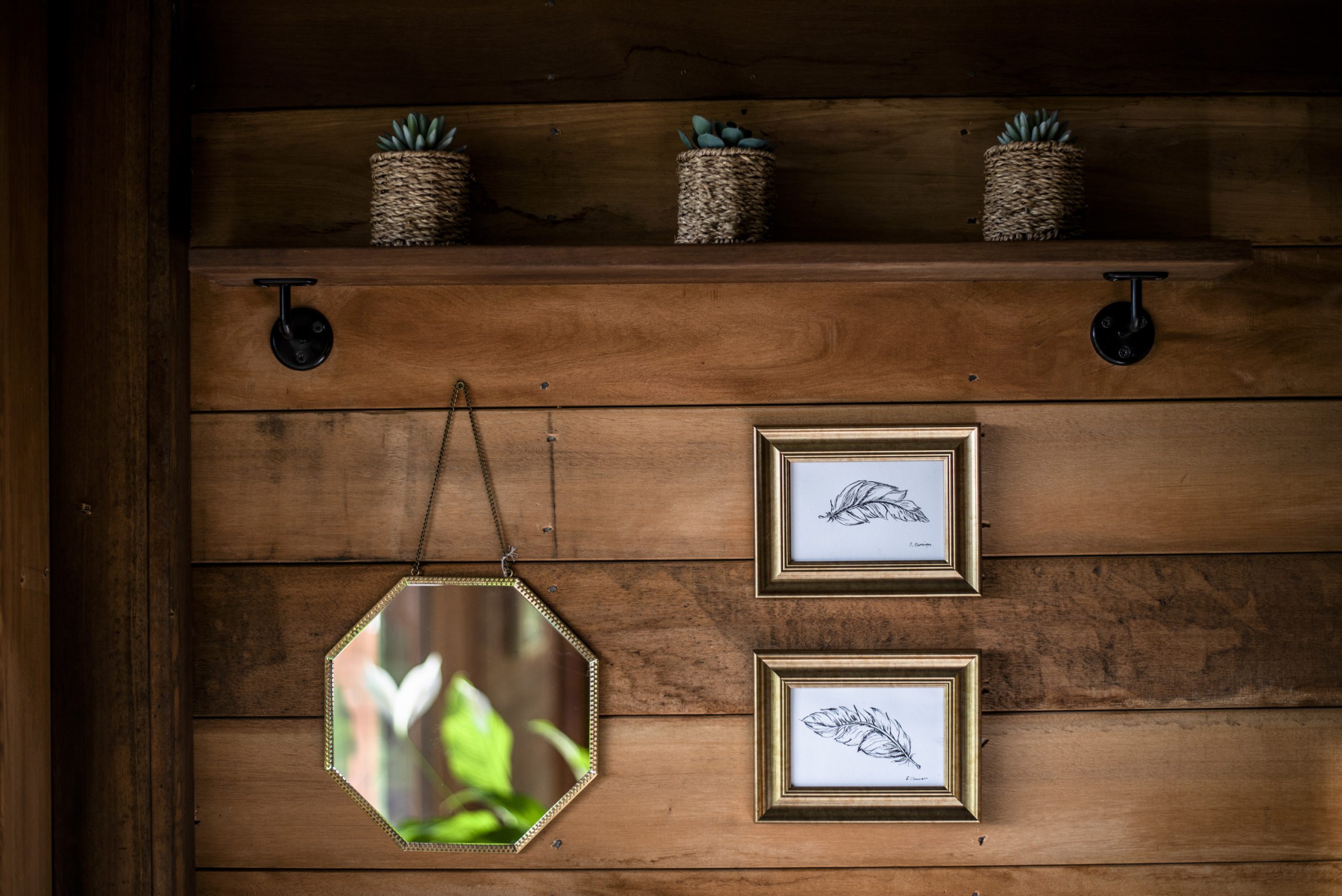 Closeup photo of the cedar cladding, shelf with succulent plants, illustrations and mirror in The Old Oak at Colemans Farm