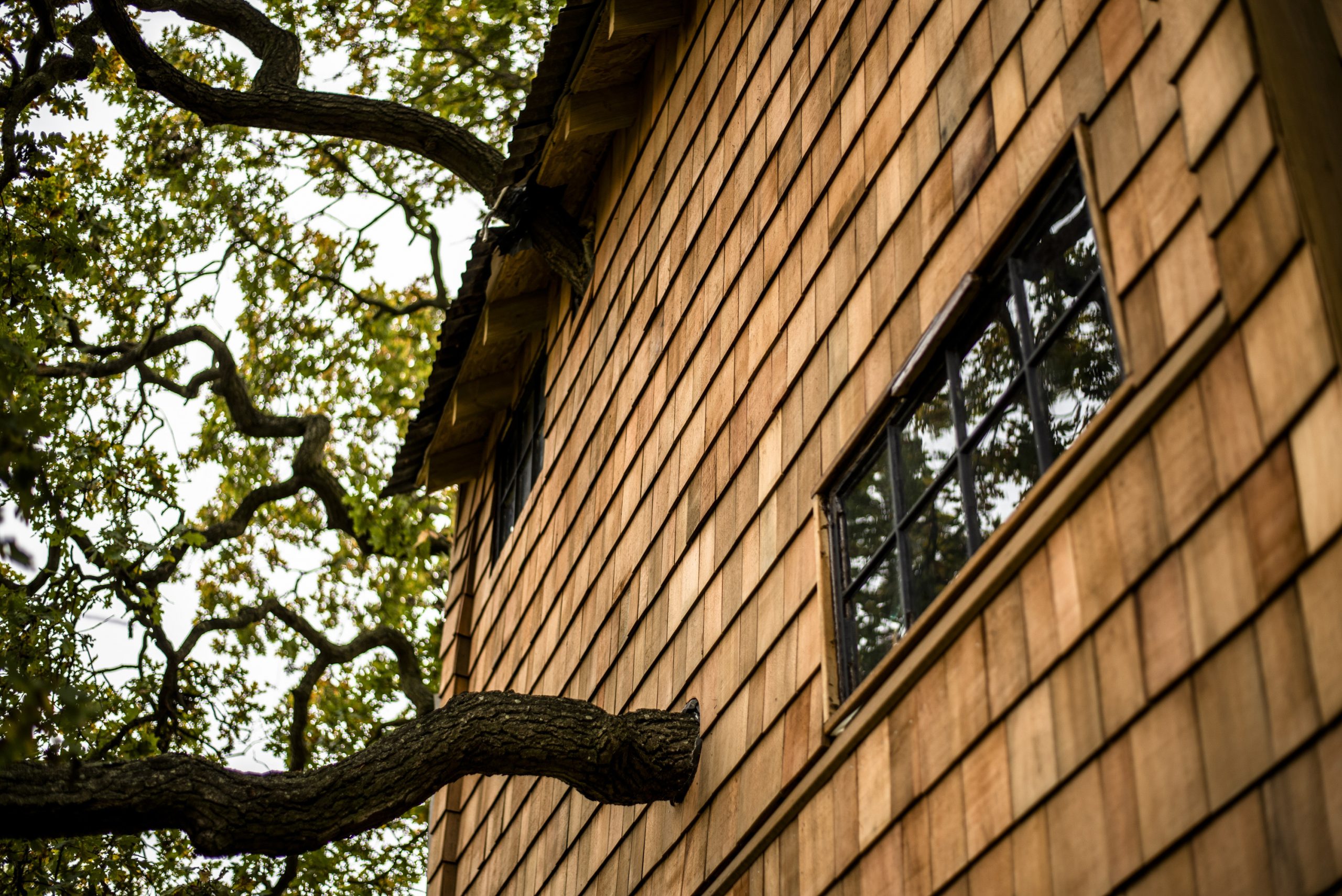 Outside closeup of the cedar cladding and bough passing through the wall of The Old Oak at Colemans Farm