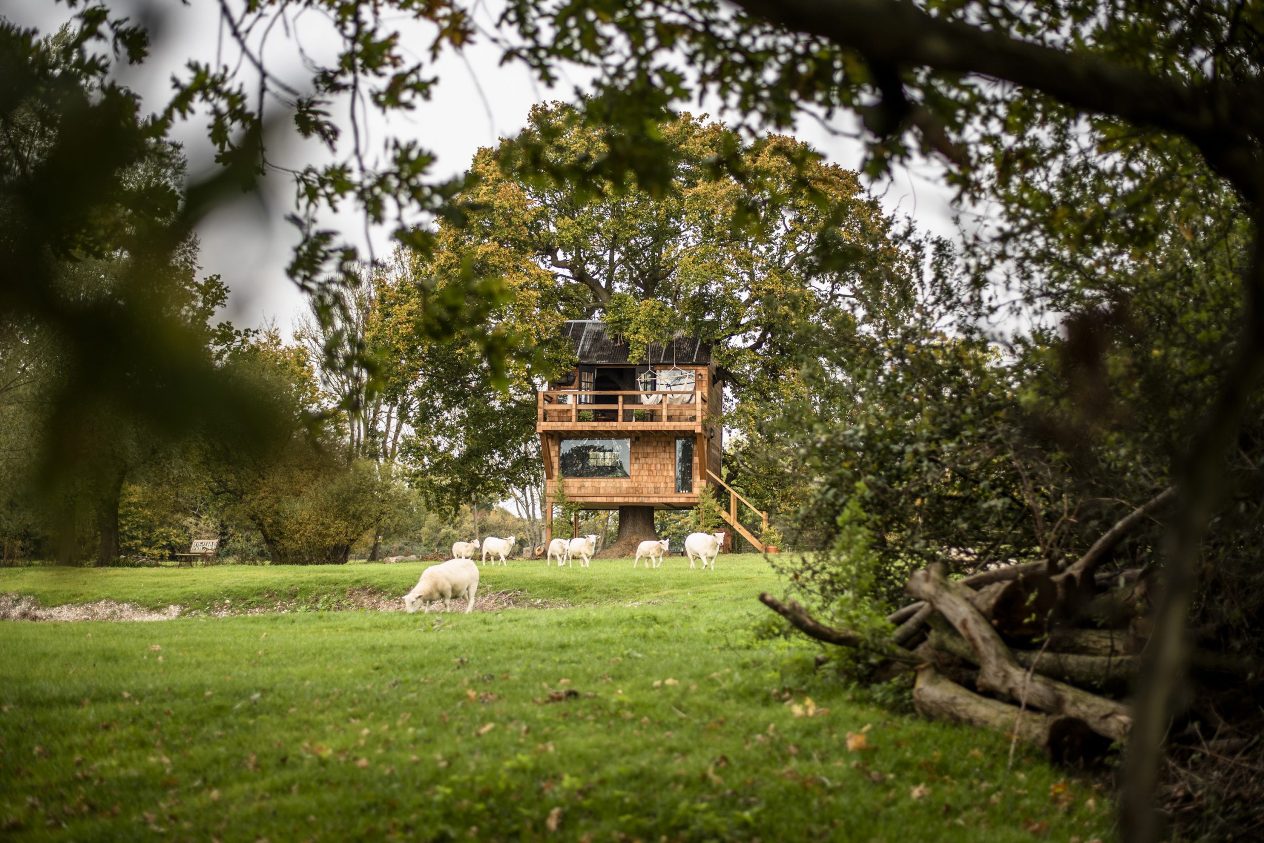 Exterior photo of The Old Oak at Colemans Farm with sheep grazing in the foreground