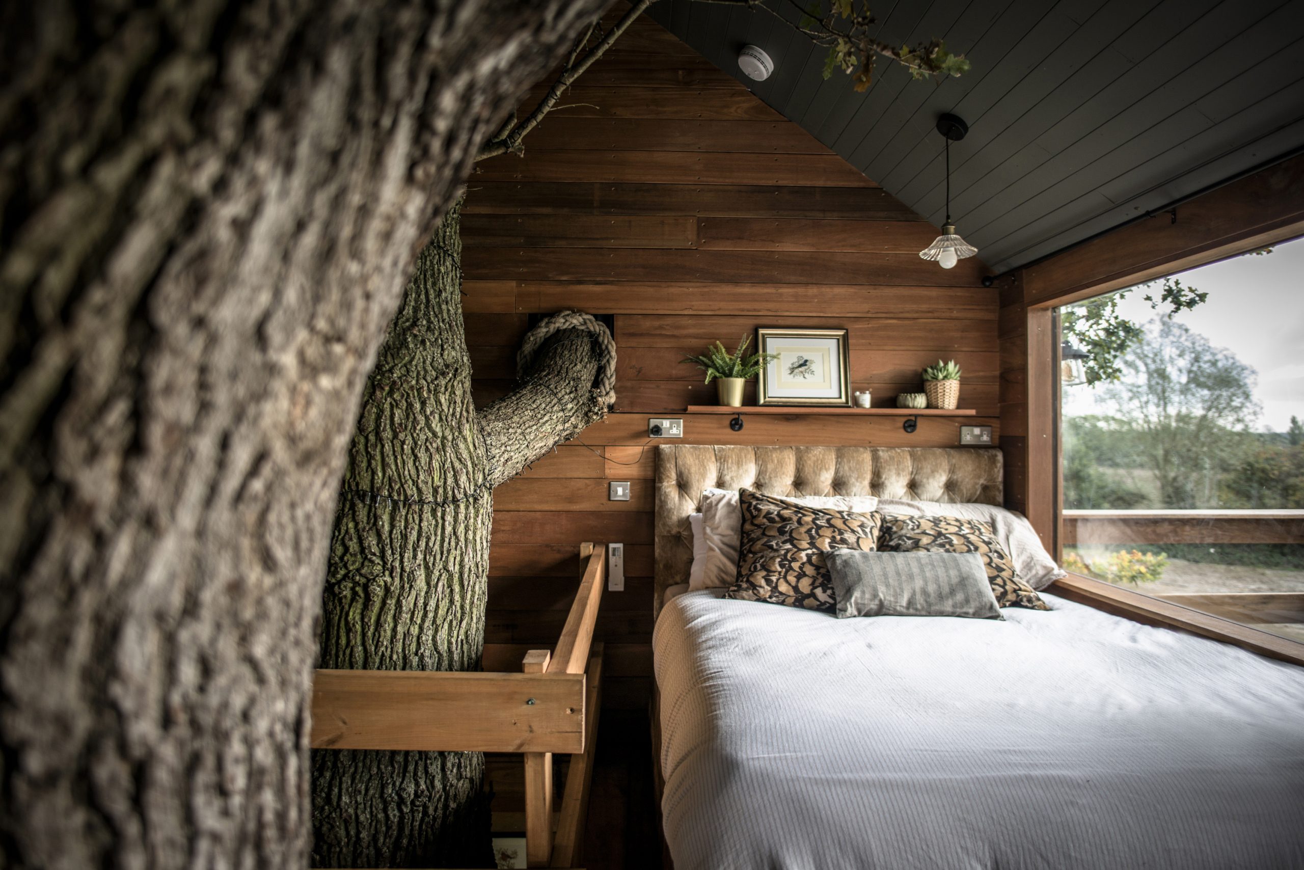 Sleeping area with panoramic window inside The Old Oak at Colemans Farm